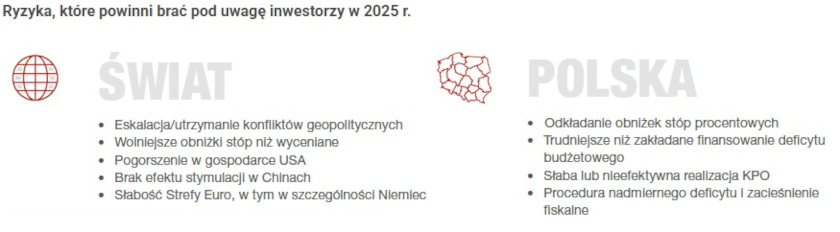 Ryzyka, które powinni brać pod uwagę inwestorzy w 2025 r.