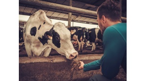 Współpraca oparta na zaufaniu. Danone wspiera polskich rolników