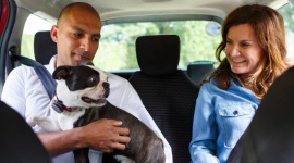 Uber wprowadza nowy produkt z myślą o zwierzętach - Uber Pets Biuro prasowe