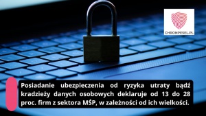 Cyberpolisa nie uchroni przed hakerem, ale złagodzi skutki ataku