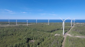 Estonia zrobiła ważny krok w kierunku budowy pierwszej morskiej farmy wiatrowej