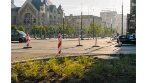 Jak miasta inwestują w zieloną komunikację? Przegląd rozwiązań Biuro prasowe