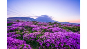 Wyspa Jeju Korei Południowej – top kierunek na lato Biuro prasowe