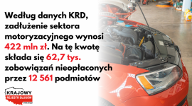 Polski rynek motoryzacyjny – najmniejsi z największymi problemami