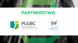 PLGBC i POLSIF podpisały porozumienie o współpracy