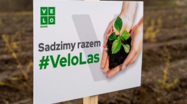 VeloBank na Targach Franczyzowych w Warszawie. Uczestnicy posadzą #VeloLas