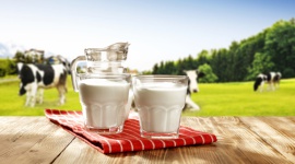 Polscy konsumenci zainteresowani mlekiem A2A2 Biuro prasowe