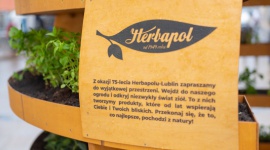 Roślinna Instalacja Sferyczna w Lublinie na 75-lecie Herbapolu-Lublin