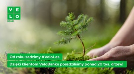 Klienci VeloBanku sadzą las. Ma więcej drzew niż w Łazienkach Królewskich